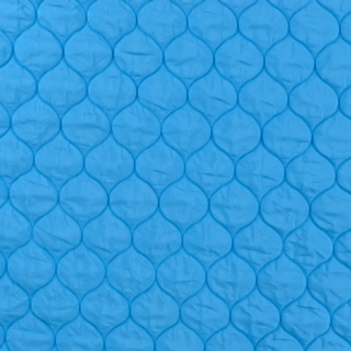 Prošev (šusťák) Cibulky tyrkysový