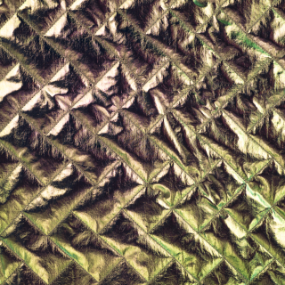 Prošev zlatý diagonální