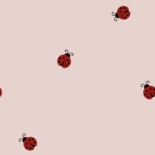 Flanel růžový Berušky