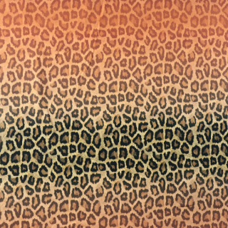 Úplet Leopard